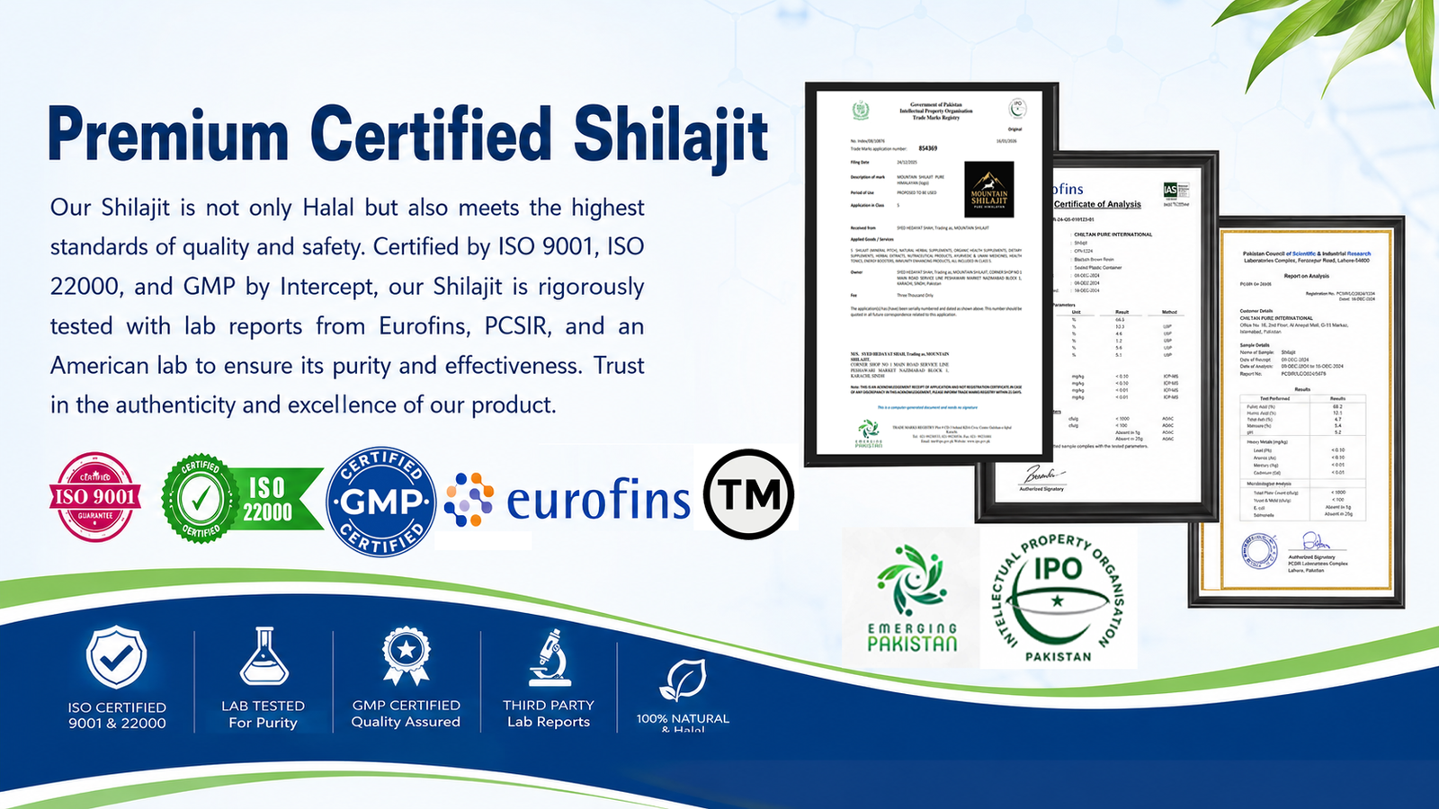 Mountain Shilajit Eurofins Lab Report Certificate